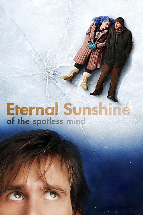 A Look Inside Eternal Sunshine of the Spotless Mind Poster