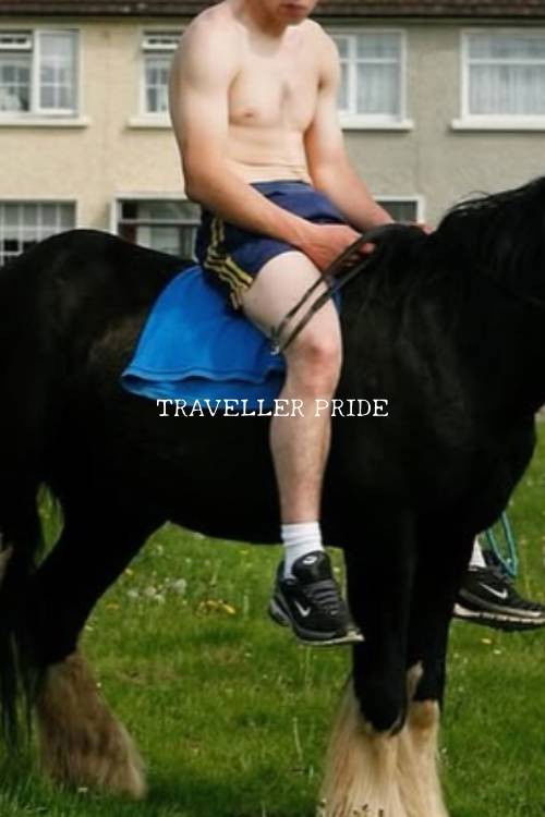 Poster for Untitled Traveller Pride…