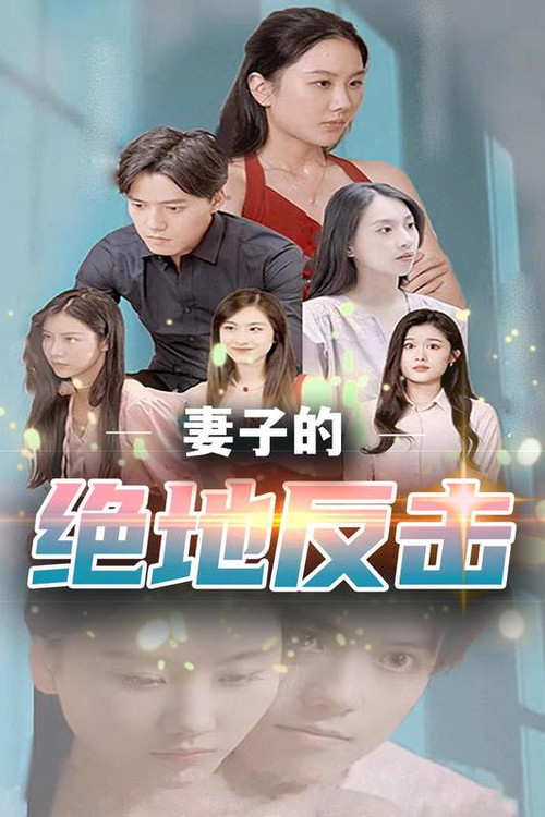 妻子的绝地反击电影海报