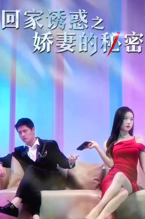 回家诱惑之娇妻的秘密电影海报