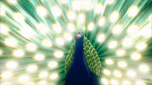 Reborn! - 138. Bölüm