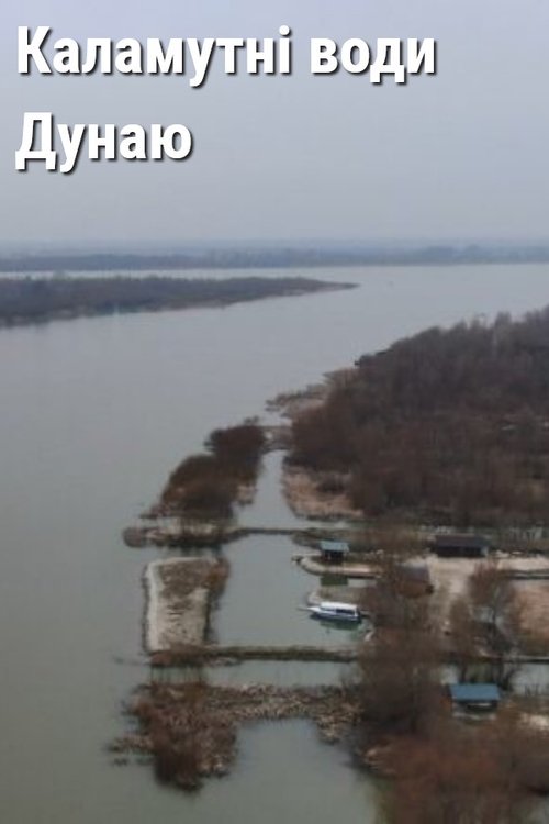 Muddy Waters of the Danube