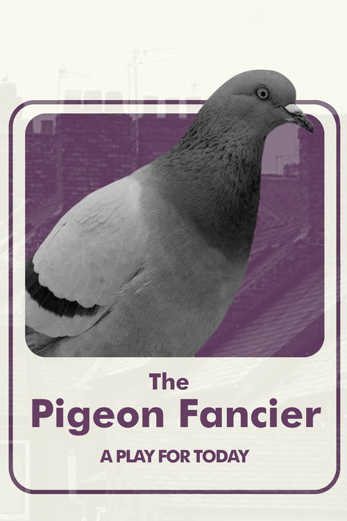 The Pigeon Fancier poster 3