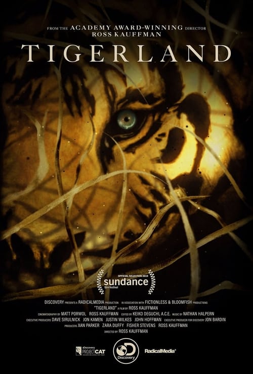 Tigerland (2019) PelículA CompletA 1080p en LATINO espanol Latino