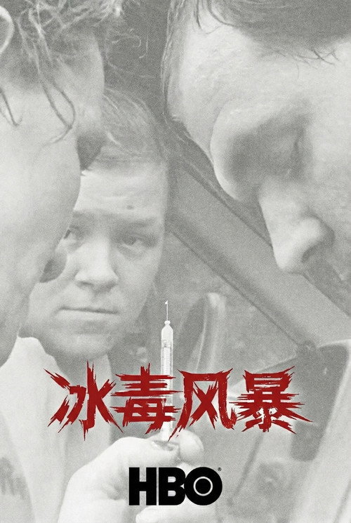 冰毒风暴电影海报