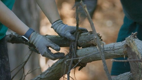 Siren: Survive the Island - 9. Bölüm