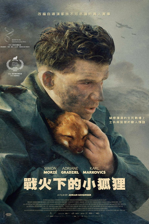 战火中的小狐狸电影海报