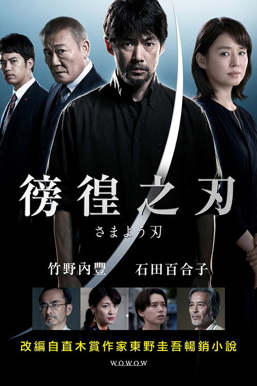 彷徨之刃电影海报