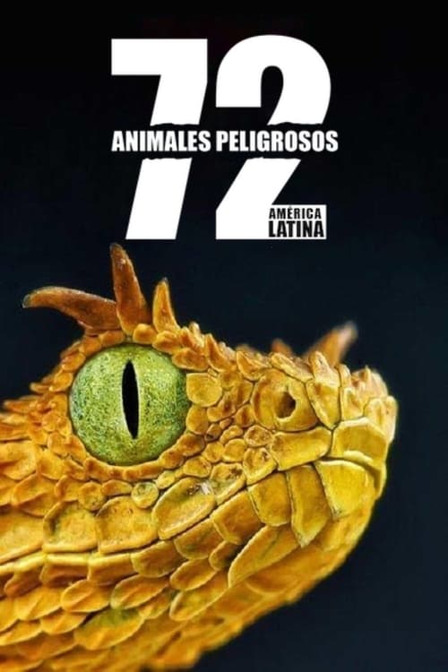 Poster of 72 animales peligrosos: América Latina