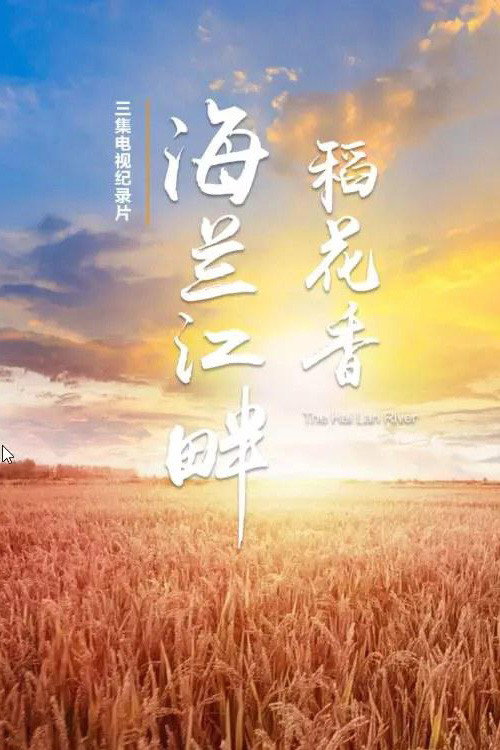 海兰江畔稻花香电影海报