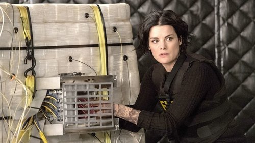 Blindspot - Mom