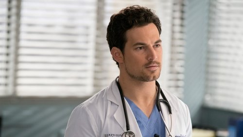 Grey's Anatomy - 17. Bölüm