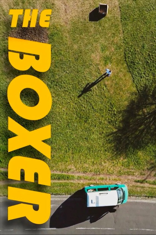 The Boxer电影海报