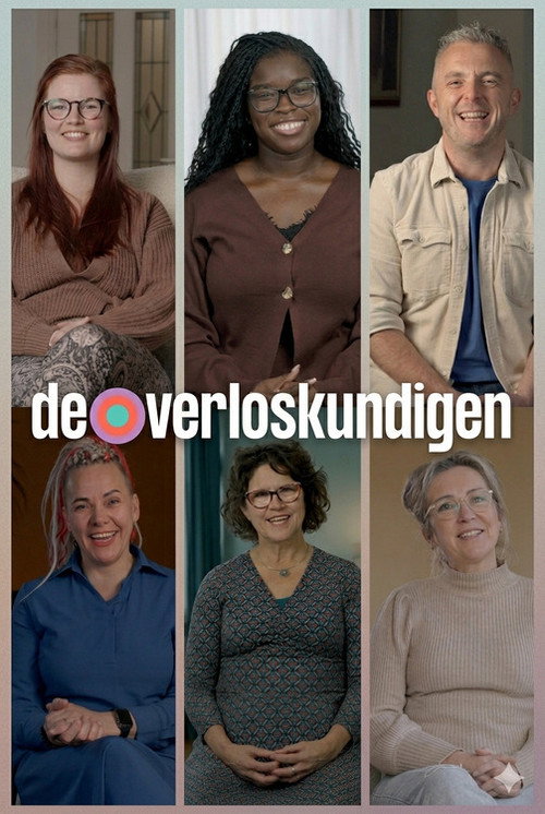 De Verloskundigen电影海报