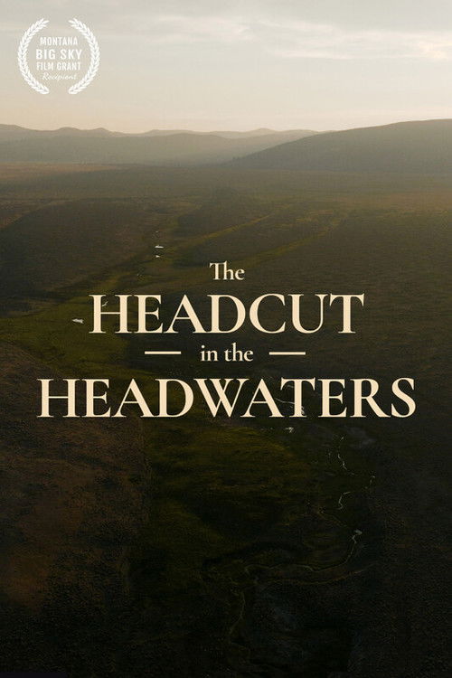 The Headcut in the Headwaters