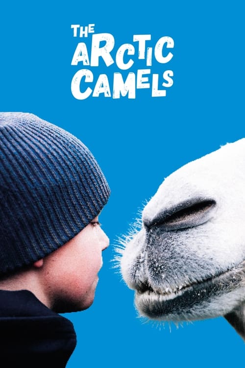 The+Arctic+Camels