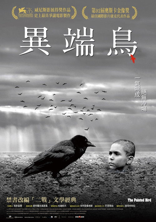 被涂污的鸟电影海报