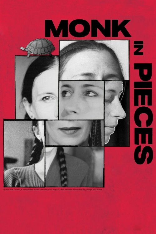Monk in Pieces Poster