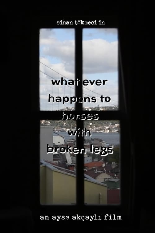 What+Ever+Happens+to+Horses+with+Broken+Legs
