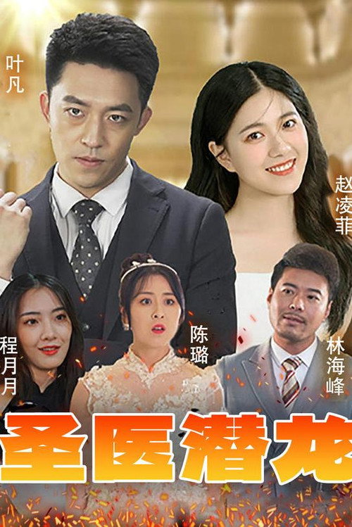 圣医潜龙电影海报