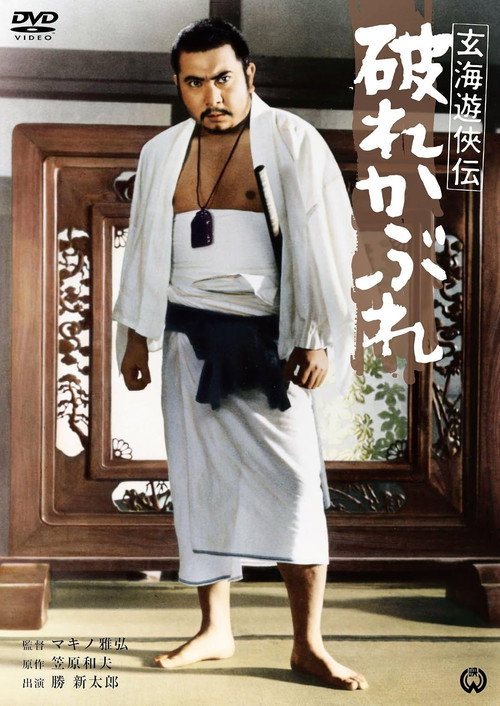 Born Fighter poster 2