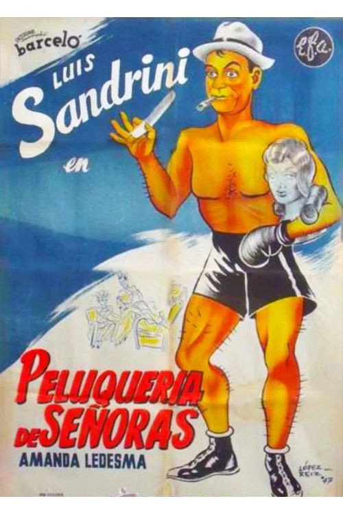 Peluquería de señoras poster 7