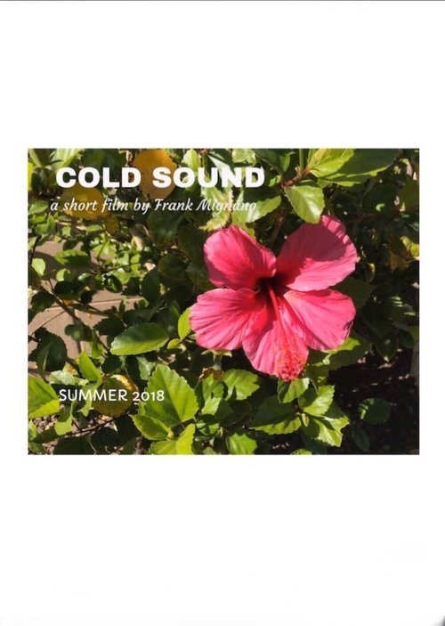 Cold Sound 2018