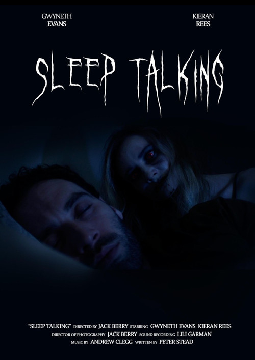 Sleep Talking poster 2