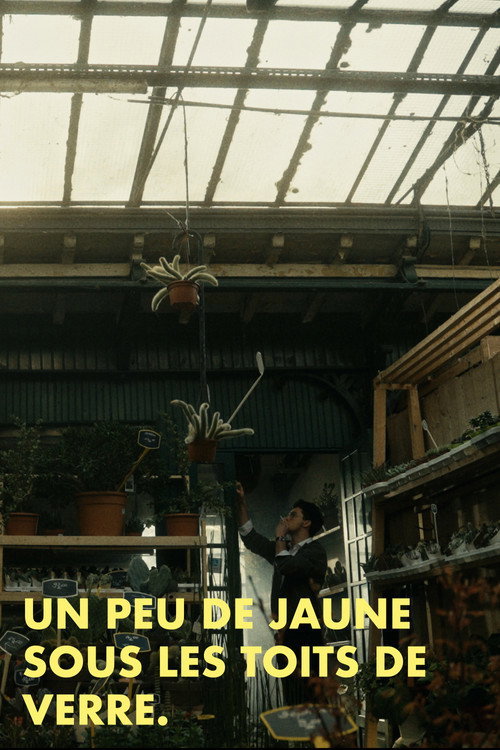 Un peu de jaune sous les toits de verre电影海报