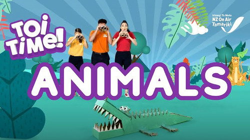 Animals
