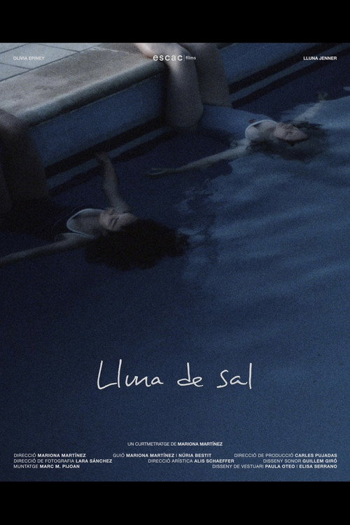 Lluna de Sal poster 2