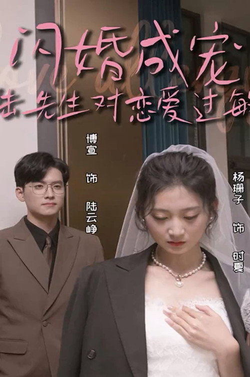 闪婚成宠，陆先生对恋爱过敏电影海报