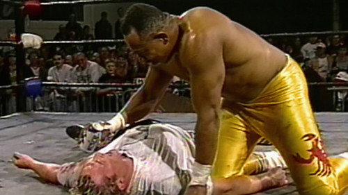 ECW Hardcore TV - Nov. 21, 1995