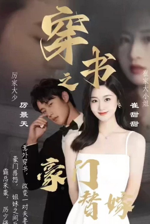 穿书之豪门替嫁电影海报