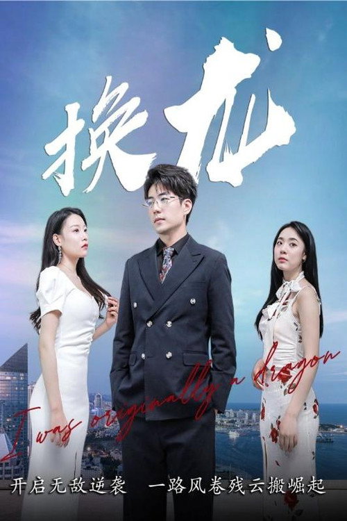 换龙电影海报