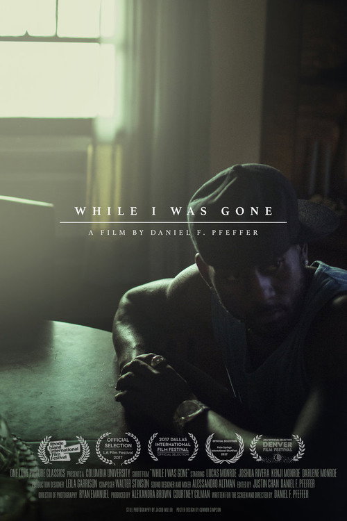 While I Was Gone poster 2
