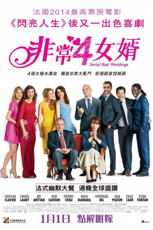 岳父岳母真难当电影海报