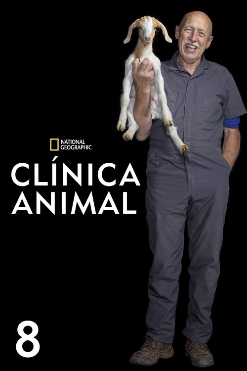 Temporada 8