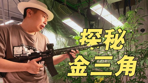 “大麻合法化”2年后，金三角现在什么样？【南洋大宝荐:泰国01】