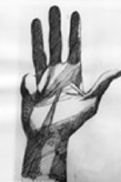 Пет филма од рака电影海报