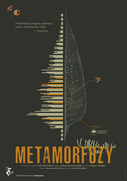 Metamorfozy