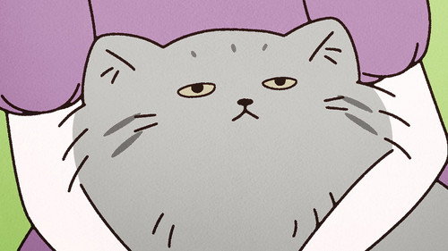 The Cat Frog Prince