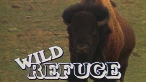 Wild Refuge