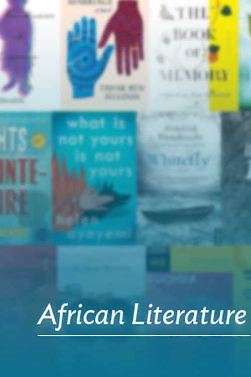 African Literature电影海报