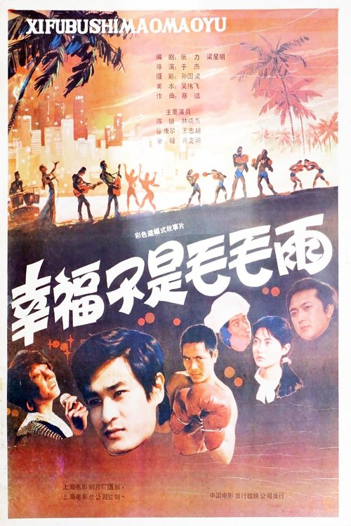 幸福不是毛毛雨 Poster