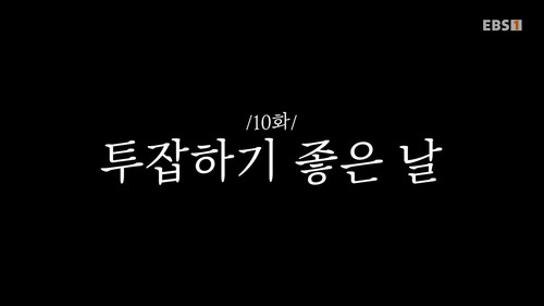 Episode 10