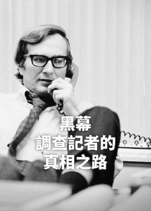 黑幕：调查记者的真相之路电影海报