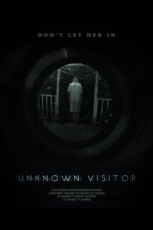 Unknown Visitor (2019) Download HD google drive