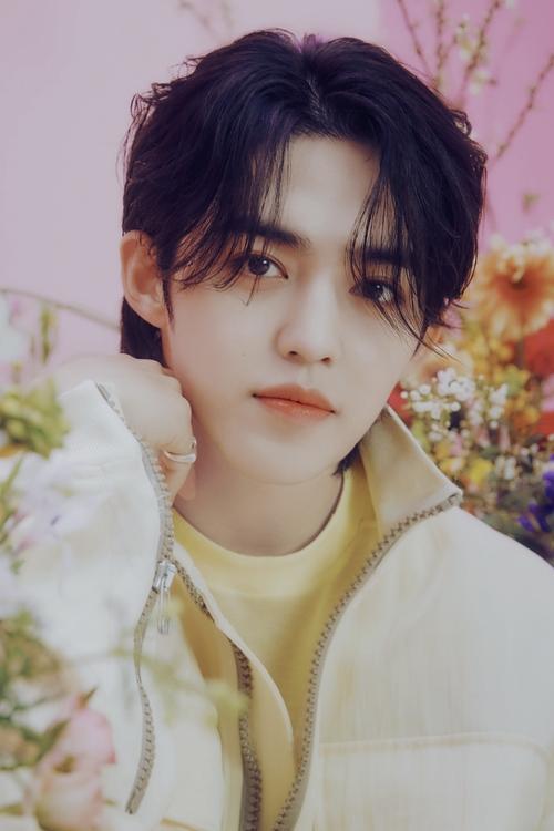 Poster of S.Coups