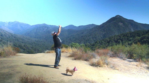 Backdrop